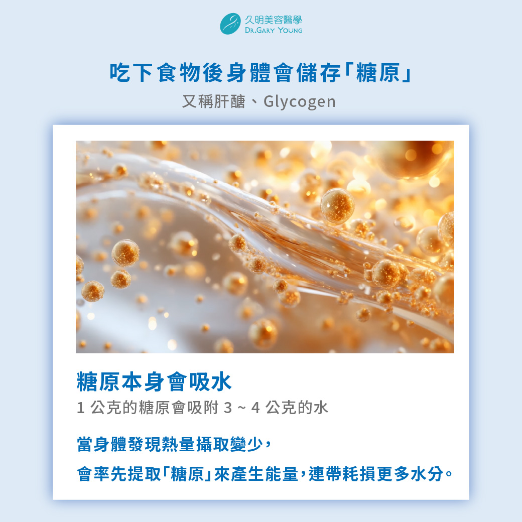 初期減掉的幾乎都是水 ?