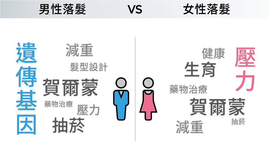 國人常見的掉髮原因有哪些？