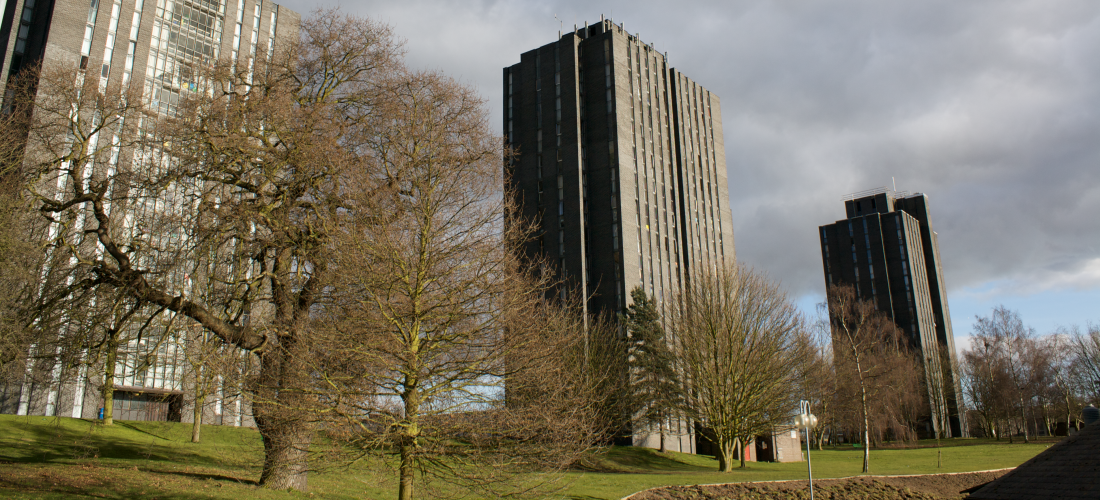 University of Essex 艾塞克斯大學